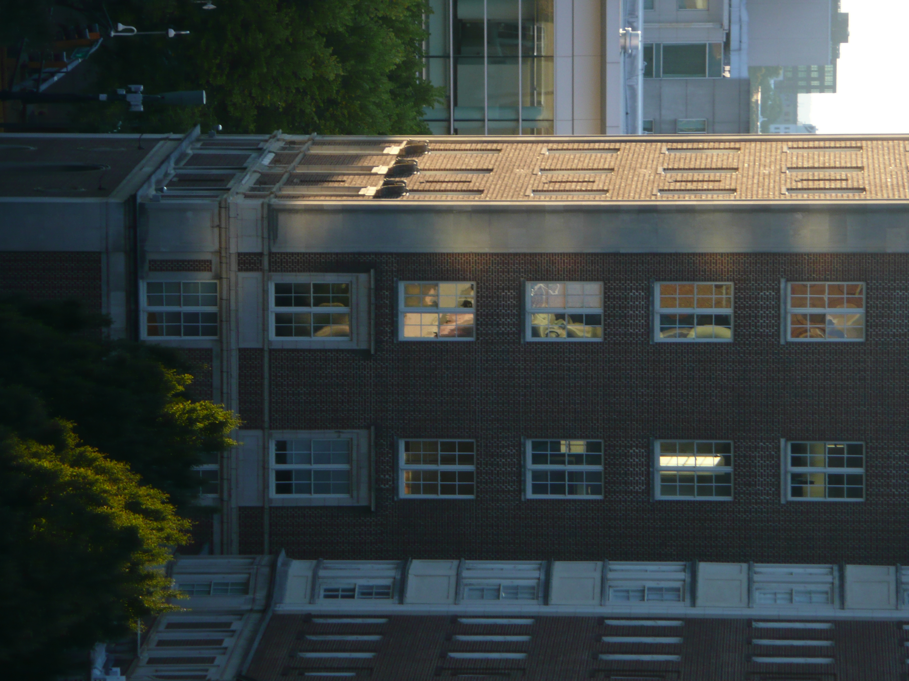 a red brick building during golden hour framed by green trees of late summer